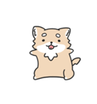 動く！ちわわわ！（個別スタンプ：24）