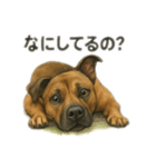 僕の名前は、ロイくん（個別スタンプ：2）