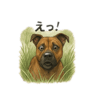 僕の名前は、ロイくん（個別スタンプ：3）