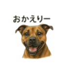 僕の名前は、ロイくん（個別スタンプ：6）