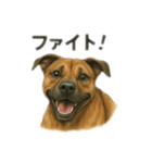 僕の名前は、ロイくん（個別スタンプ：7）