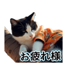 飛び出す★夏を感じる・ハチワレ猫・挨拶（個別スタンプ：7）