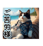 飛び出す★夏を感じる・ハチワレ猫・挨拶（個別スタンプ：8）