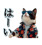 飛び出す★夏を感じる・ハチワレ猫・挨拶（個別スタンプ：9）