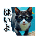 飛び出す★夏を感じる・ハチワレ猫・挨拶（個別スタンプ：12）