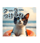 飛び出す★夏を感じる・ハチワレ猫・挨拶（個別スタンプ：22）