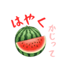 夏到来！ゆるっとサマー（個別スタンプ：1）