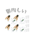 夏到来！ゆるっとサマー（個別スタンプ：15）