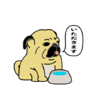 糸吉 パグ スタンプ 2（個別スタンプ：2）