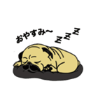 糸吉 パグ スタンプ 2（個別スタンプ：4）