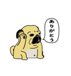 糸吉 パグ スタンプ 2（個別スタンプ：6）