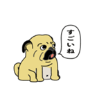 糸吉 パグ スタンプ 2（個別スタンプ：7）