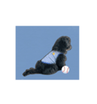チョーやんちゃ犬うに君のかけ声（個別スタンプ：9）