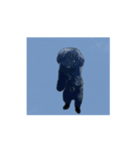 チョーやんちゃ犬うに君のかけ声（個別スタンプ：14）