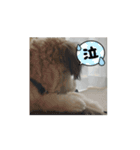 エル氏(9ヶ月記念)（個別スタンプ：3）