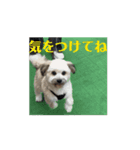エル氏(9ヶ月記念)（個別スタンプ：6）