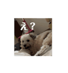 エル氏(9ヶ月記念)（個別スタンプ：8）