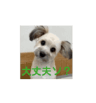 エル氏(9ヶ月記念)（個別スタンプ：9）