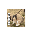 エル氏(9ヶ月記念)（個別スタンプ：11）