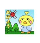 3羽のおかめインコのオカメちゃん（個別スタンプ：6）