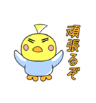 3羽のおかめインコのオカメちゃん（個別スタンプ：19）