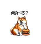 グルメなスタンプ 何食べる？ 少し柴犬（個別スタンプ：38）