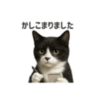 リアルでかわいい猫さんのスタンプ（個別スタンプ：1）