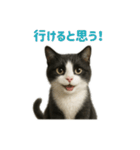 リアルでかわいい猫さんのスタンプ（個別スタンプ：8）