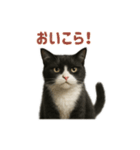 リアルでかわいい猫さんのスタンプ（個別スタンプ：26）