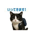リアルでかわいい猫さんのスタンプ（個別スタンプ：37）
