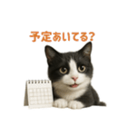リアルでかわいい猫さんのスタンプ（個別スタンプ：39）