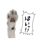 ワサビとちゅら（個別スタンプ：30）