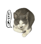 ワサビとちゅら（個別スタンプ：35）