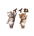 踊る！おパンツネコちゃん！にゃんだふる～（個別スタンプ：1）