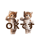 踊る！おパンツネコちゃん！にゃんだふる～（個別スタンプ：3）