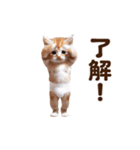踊る！おパンツネコちゃん！にゃんだふる～（個別スタンプ：5）