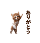 踊る！おパンツネコちゃん！にゃんだふる～（個別スタンプ：9）