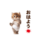 踊る！おパンツネコちゃん！にゃんだふる～（個別スタンプ：10）