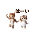 踊る！おパンツネコちゃん！にゃんだふる～（個別スタンプ：13）