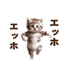 踊る！おパンツネコちゃん！にゃんだふる～（個別スタンプ：14）