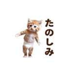 踊る！おパンツネコちゃん！にゃんだふる～（個別スタンプ：15）