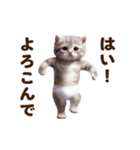 踊る！おパンツネコちゃん！にゃんだふる～（個別スタンプ：16）
