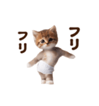 踊る！おパンツネコちゃん！にゃんだふる～（個別スタンプ：19）