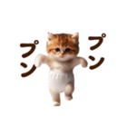 踊る！おパンツネコちゃん！にゃんだふる～（個別スタンプ：24）