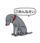 ワイマラナー(スムース＋グレー)（個別スタンプ：2）