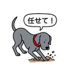 ワイマラナー(スムース＋グレー)（個別スタンプ：12）