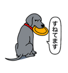 ワイマラナー(スムース＋グレー)（個別スタンプ：20）