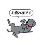 ワイマラナー(スムース＋グレー)（個別スタンプ：21）
