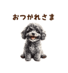 毛色いろいろ！感情いっぱいトイプードル（個別スタンプ：2）