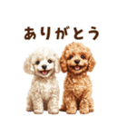 毛色いろいろ！感情いっぱいトイプードル（個別スタンプ：3）
